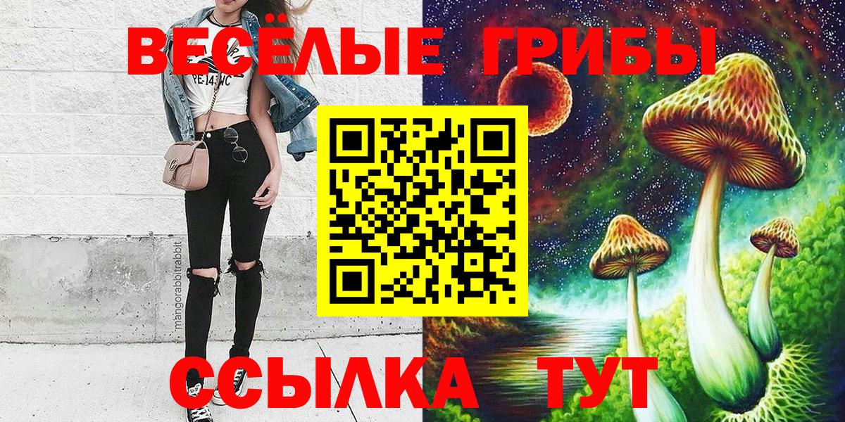 Псилоцибиновые грибы мицелий Трёхгорный